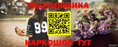 индика Коммунар