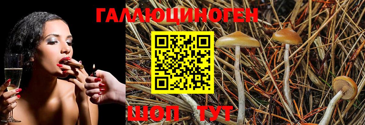Галлюциногенные грибы MAGIC MUSHROOMS  Галлюциногенные грибы MAGIC MUSHROOMS  где продают наркотики  Зерноград  Вход с VPN 