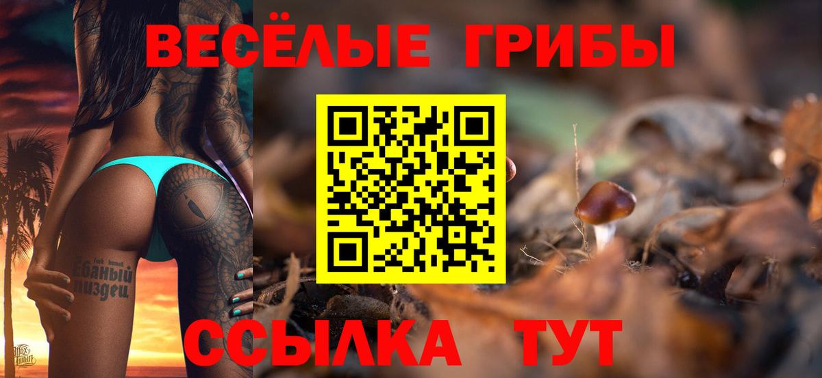 Псилоцибиновые грибы Psilocybe Зерноград